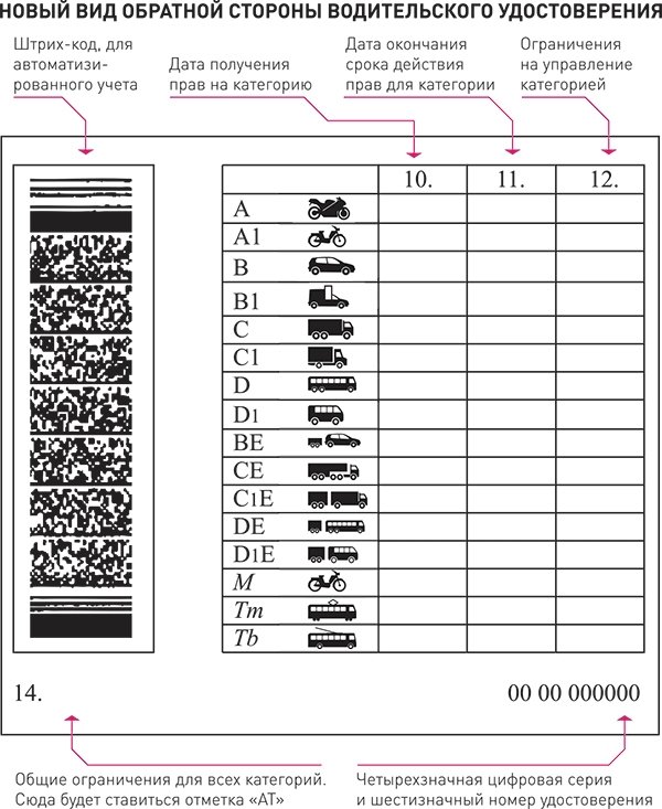 Расшифровка прав водительских нового образца