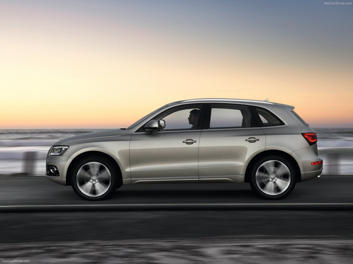 Audi-Q5-2013-1600-12.jpg
