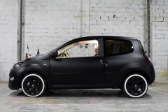 Отыгрались на Renault Twingo