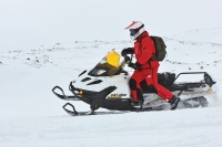 Электронный «снегоступ»: Ski-Doo Tundra LT 600 ACE