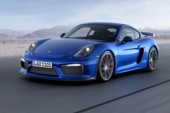 Porsche Cayman 2015