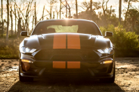 Ford Mustang отметил европейский успех мировым рекордом