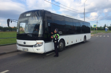 Нелегальным автобусам объявили войну