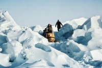Арктика-1968 