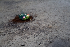 Клумба в дорожной яме