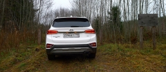 Hyundai Santa Fe: Белые пятна в темном лесу_03